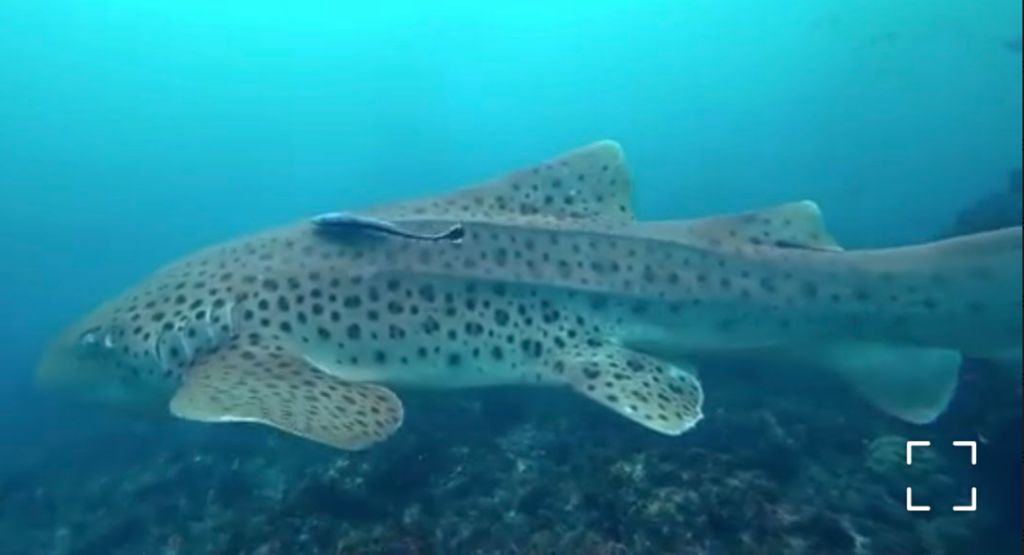 92b8c15e-8f8a-4395-aa83-22077c8abec2