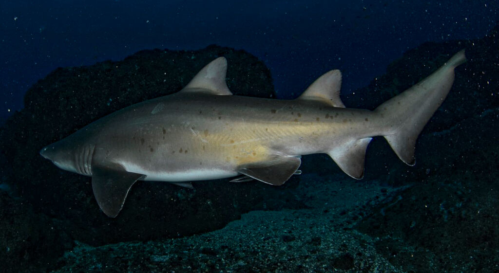 cc24b159-a5d9-491a-b326-75db4611f3d4