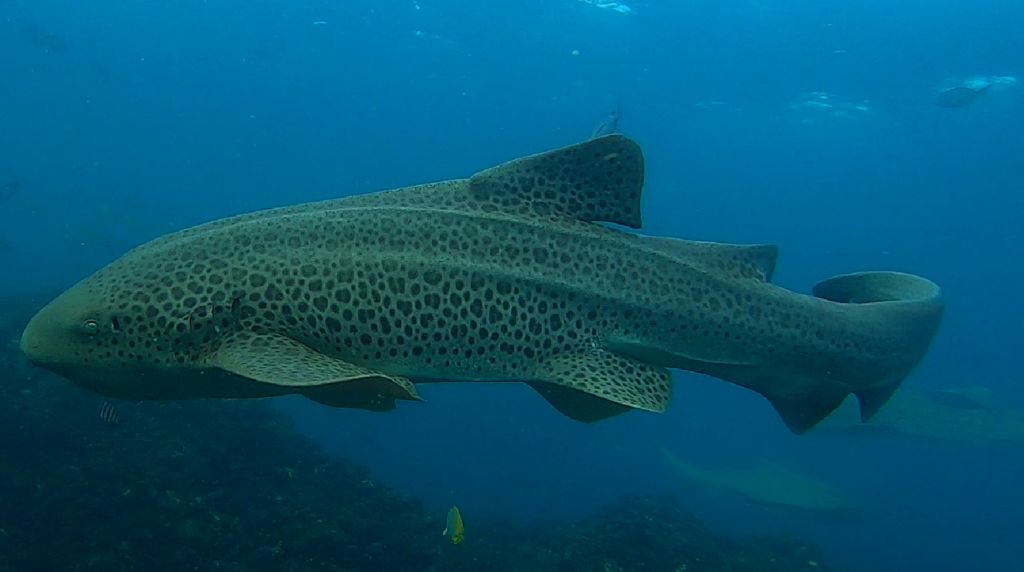 3a0e97f2-2667-4067-9dc1-cffe2746ef29