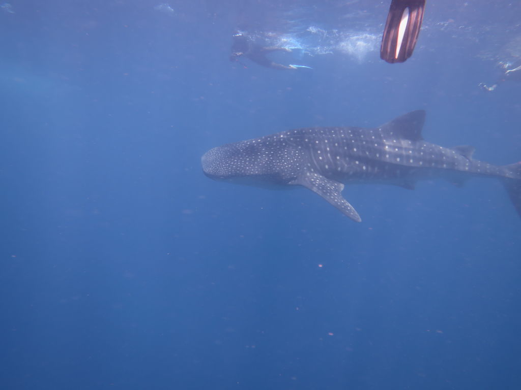 3124537b-6b19-4a9f-ae8a-2423f94b7e60