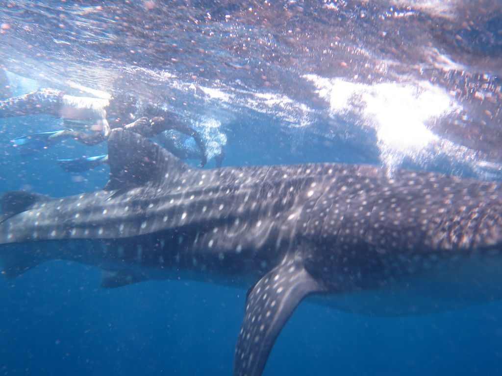 3124537b-6b19-4a9f-ae8a-2423f94b7e60