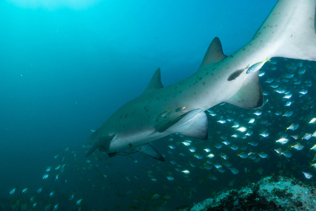 2037cb23-55ed-4d23-9ac8-982c9374f57d