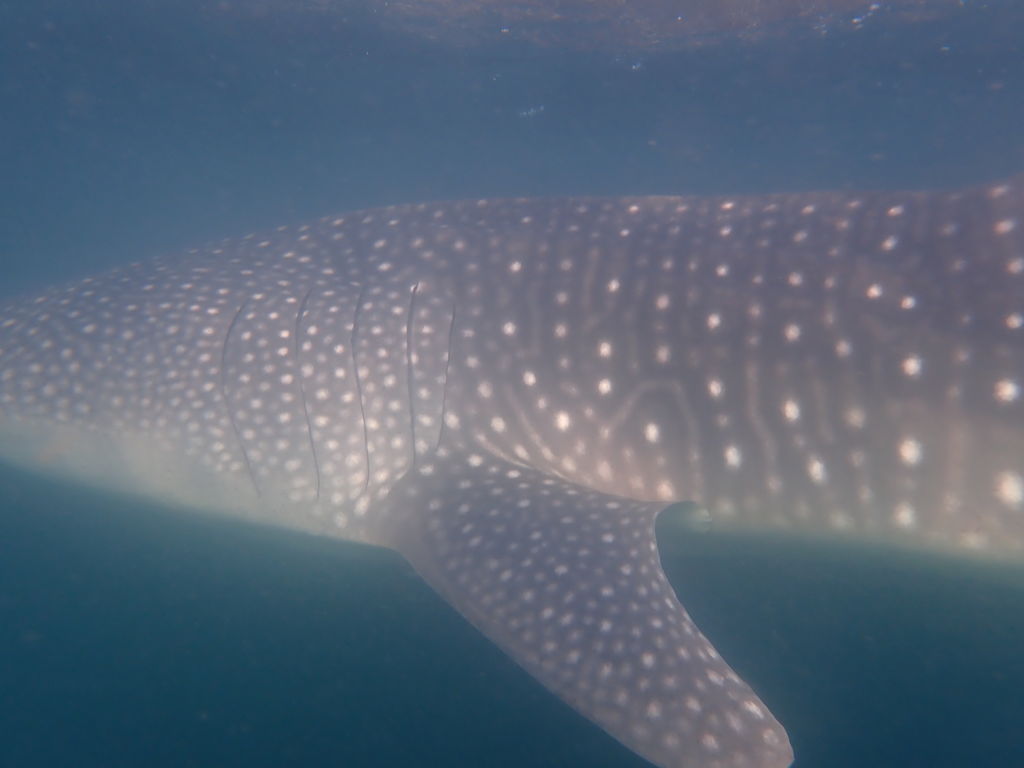 d3da3c36-7158-4249-977a-f27c2405115c