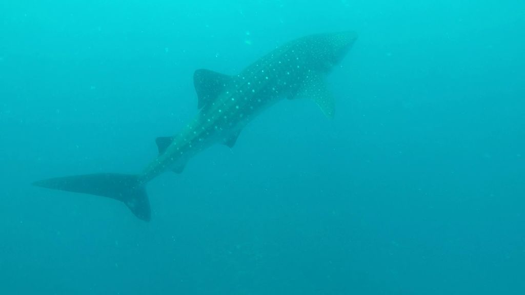 eff95ec6-ee84-490a-a1a0-c1d000a9dcf7