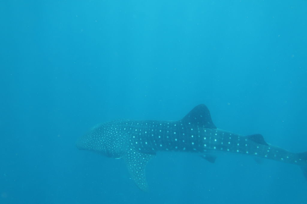 eff95ec6-ee84-490a-a1a0-c1d000a9dcf7