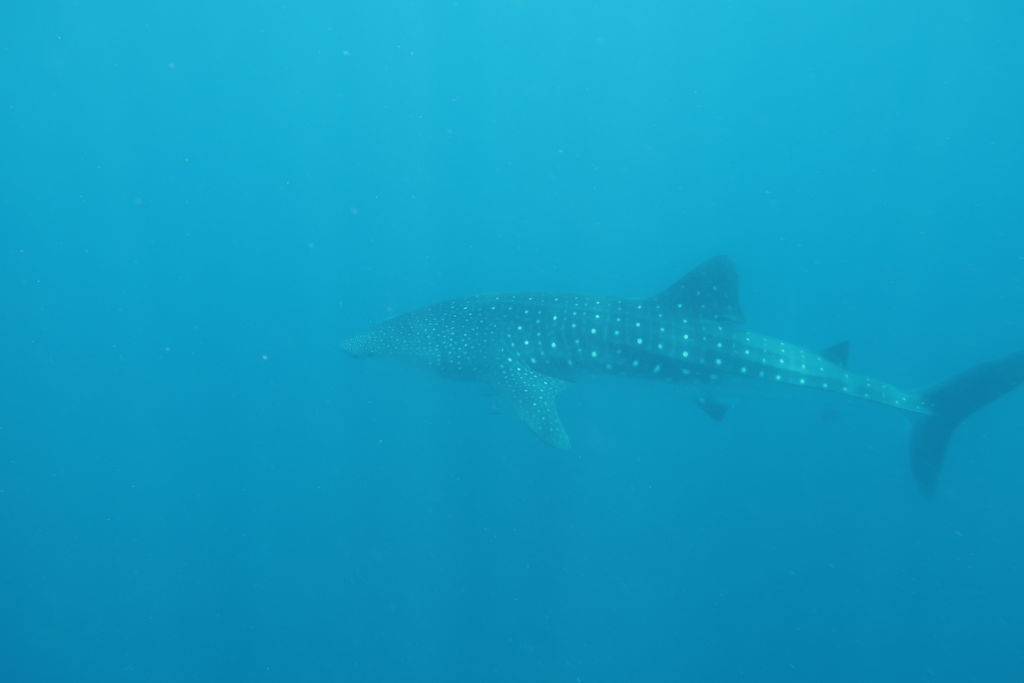 eff95ec6-ee84-490a-a1a0-c1d000a9dcf7