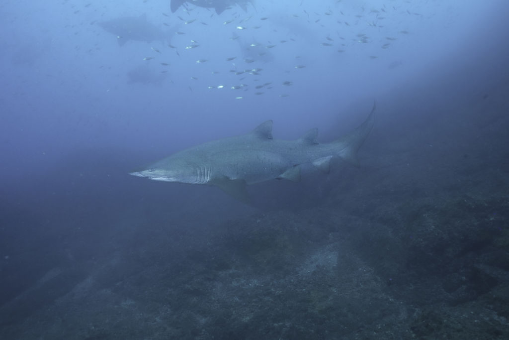 0acb6537-b97f-4a34-91c8-ed4d85b1b975