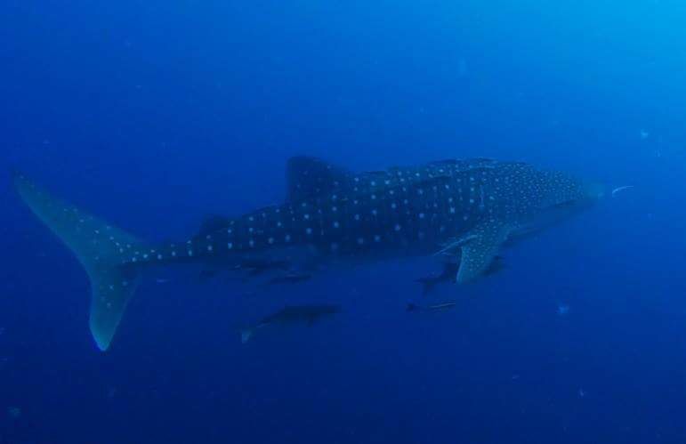 27dc01f8-f319-4d1b-9ea0-3456c7235f46