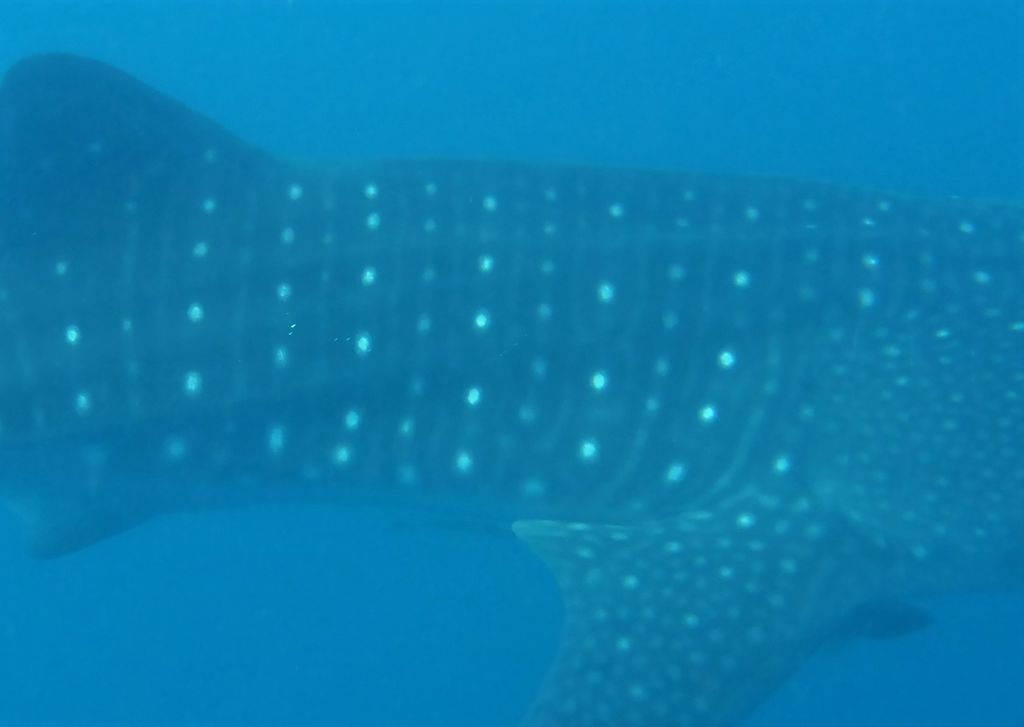 1810795a-d2e5-45e2-a108-87b57ee729f8