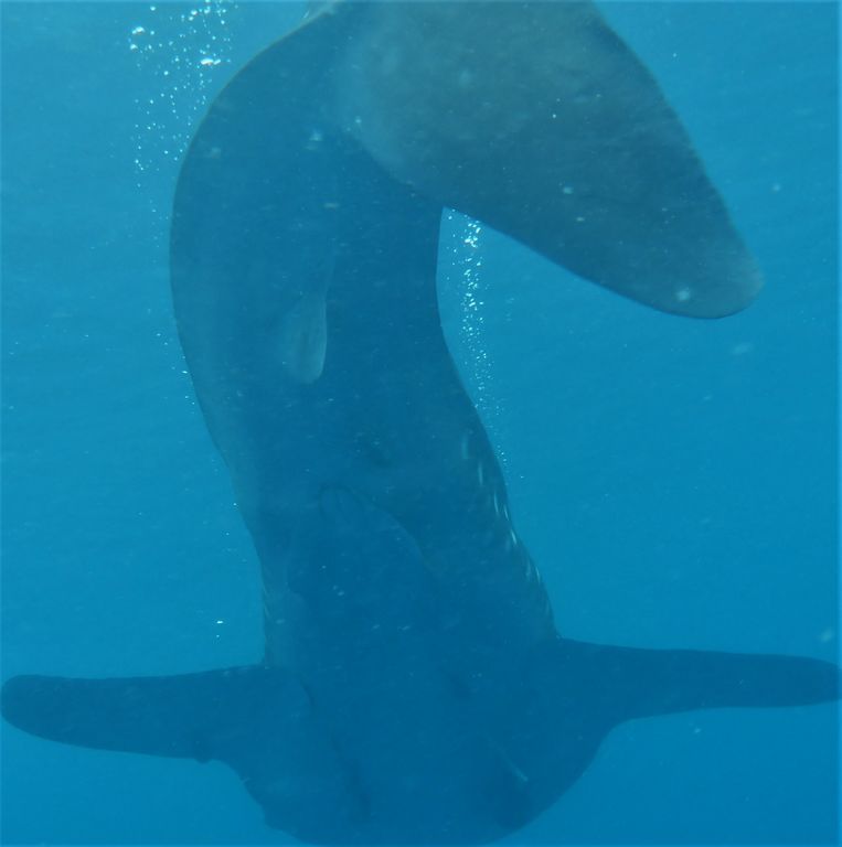 1810795a-d2e5-45e2-a108-87b57ee729f8