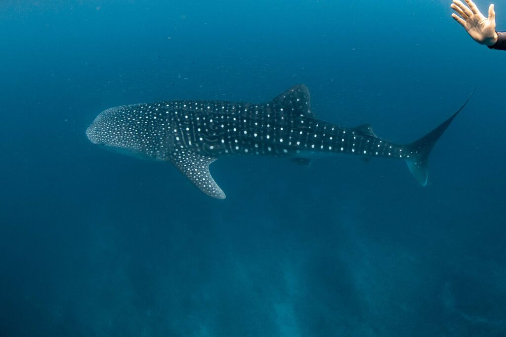 f1202ed9-f933-4de1-8bbe-769493bedf86