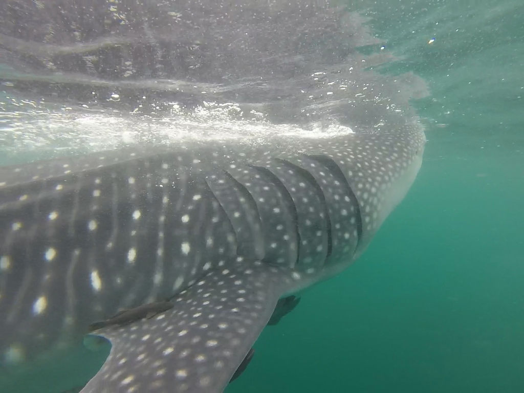 f3fa98f6-7d38-4cce-8660-017e4976813f