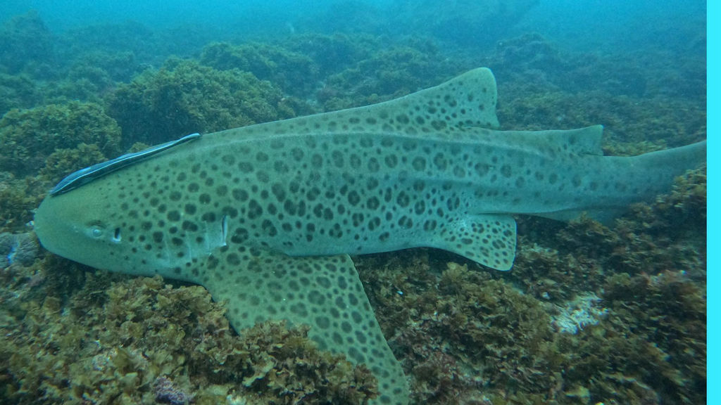 ebc464dd-aab1-417f-a270-5ac76ca1d8ff