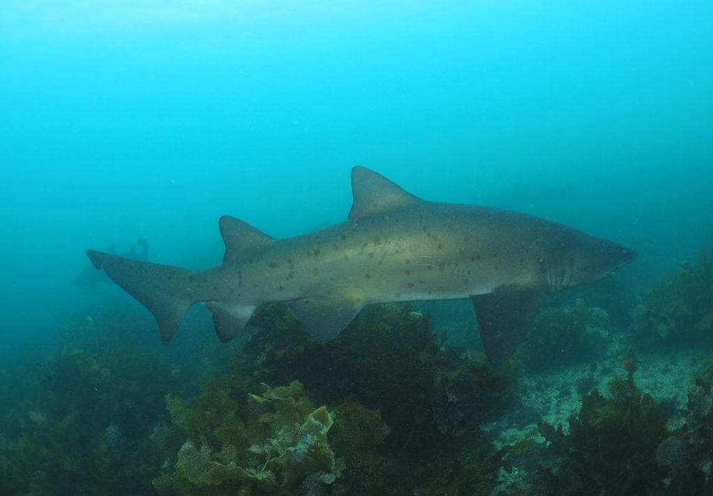 26738ced-c33a-4d64-a4b1-5671064c1aea