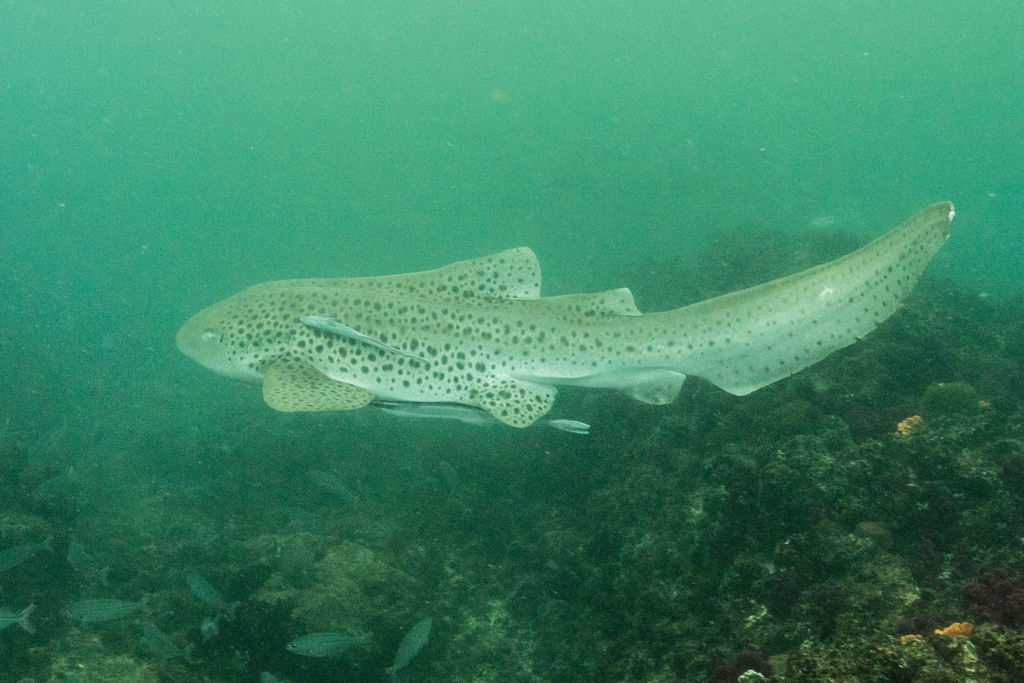 11cbe84c-0b7f-4b0c-a361-4bb280e38d75