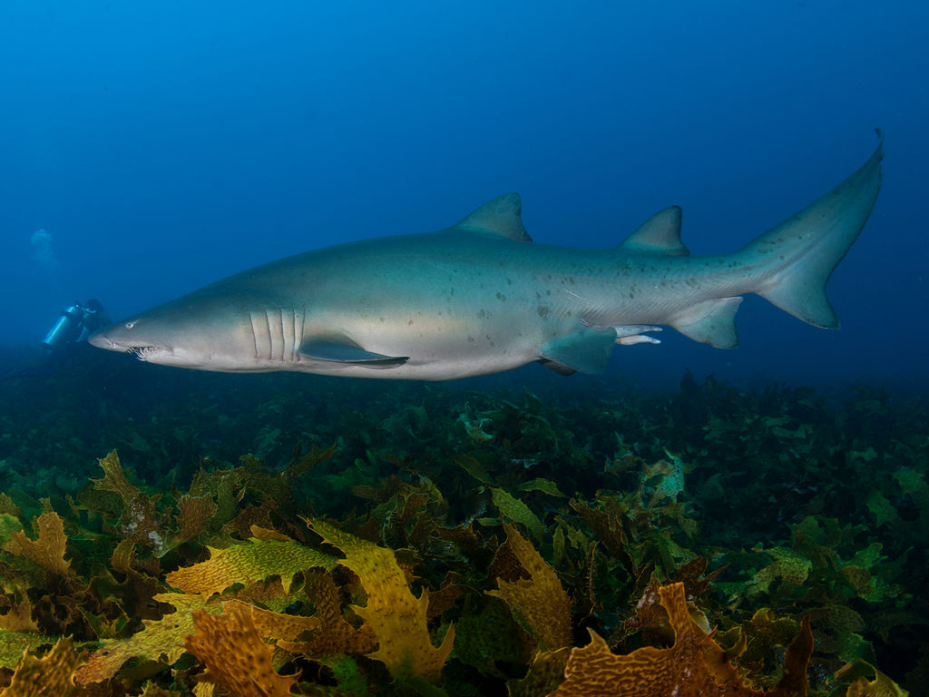 ecab28fd-d2e4-4aac-b4d4-2e898ea70bb0