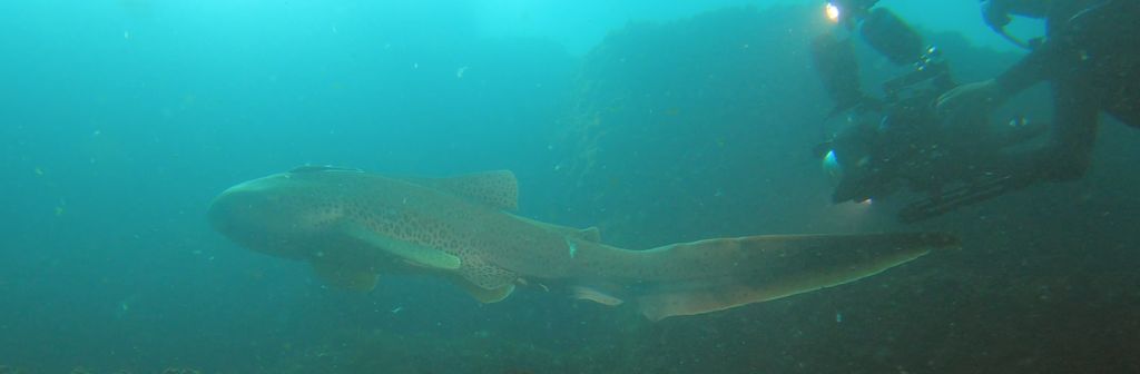 25e5f1f2-8c10-40a0-842c-e79d3b26bf53