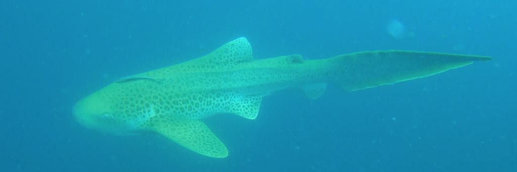 25e5f1f2-8c10-40a0-842c-e79d3b26bf53