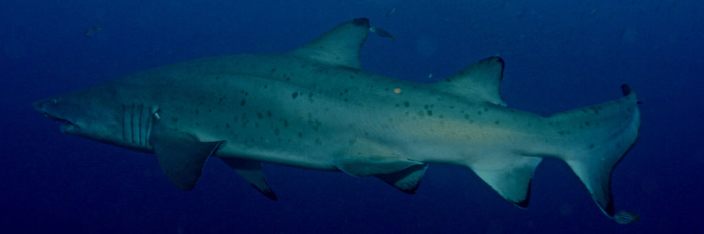 0b25b043-0b73-4ef9-bae9-4fbe8ecfd704