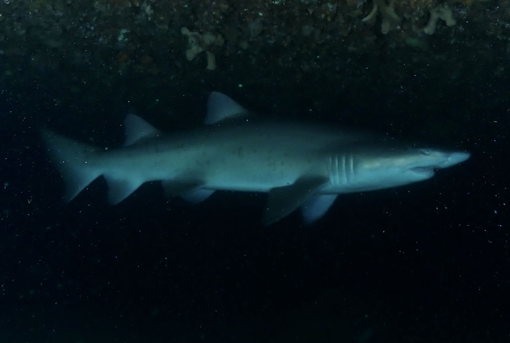 53a7dc69-bdab-4754-95d7-d0d7323d6c9c