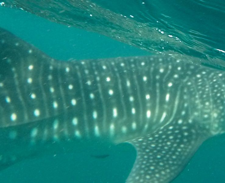 77847a24-dbfc-4b32-b229-1b6b74da0d8d