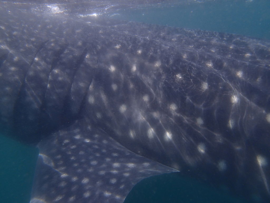 fe3292a5-feb5-4bac-8bdf-6958ce0edc5f