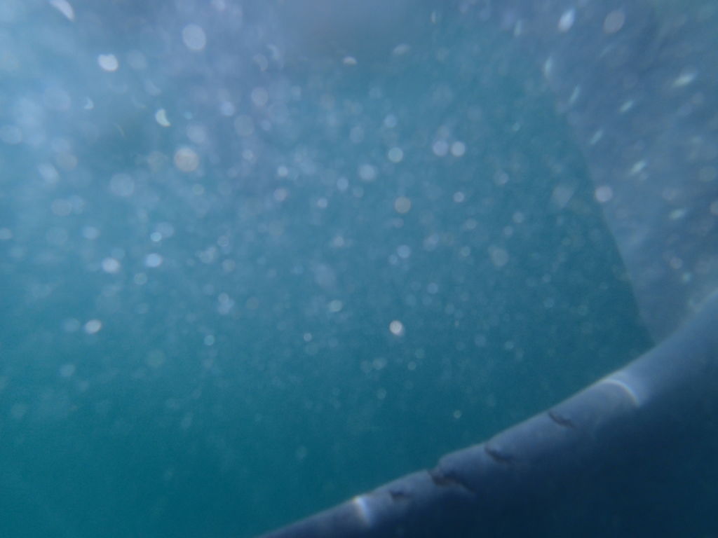 fe3292a5-feb5-4bac-8bdf-6958ce0edc5f