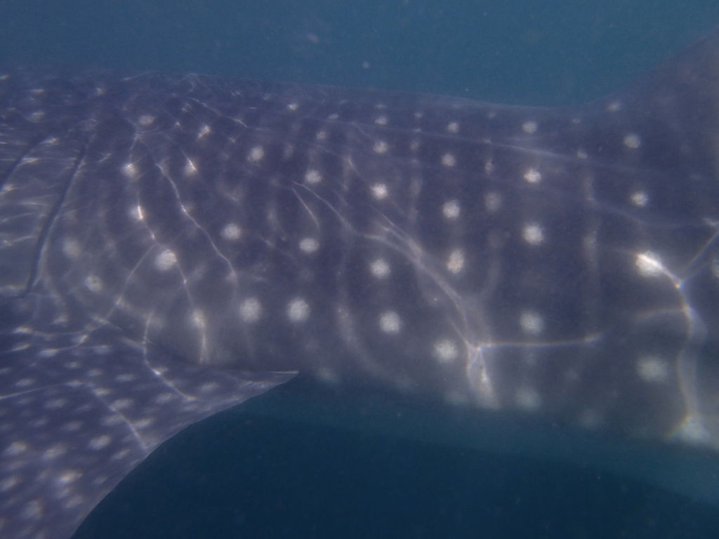 fe3292a5-feb5-4bac-8bdf-6958ce0edc5f