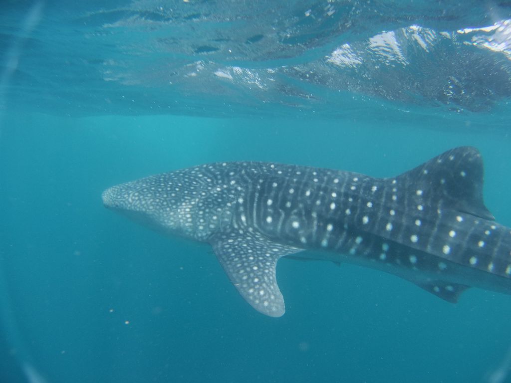 068e2fc5-db9e-4047-bd90-12256eebd2a9