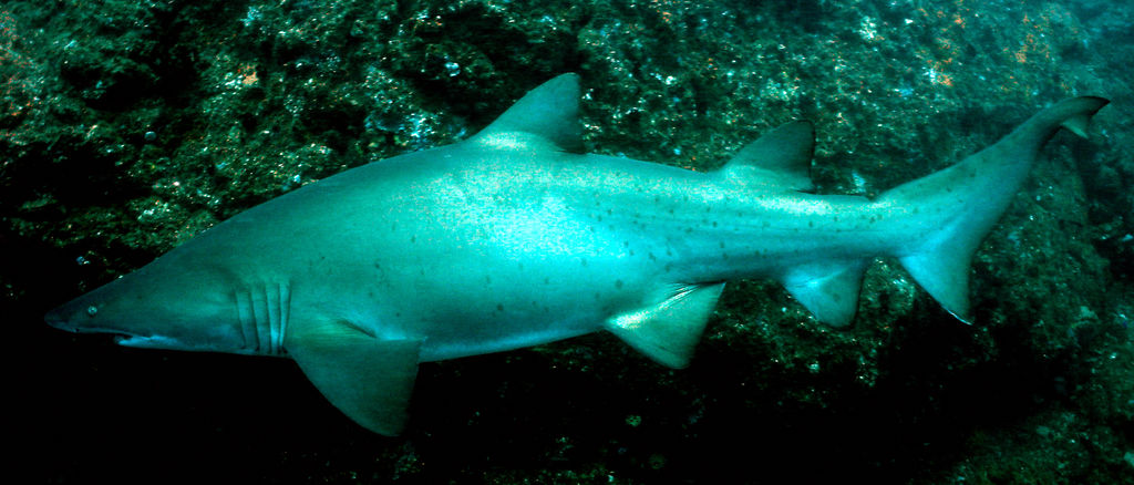 56d10b70-80d9-47a0-b1cc-a0da11a07172