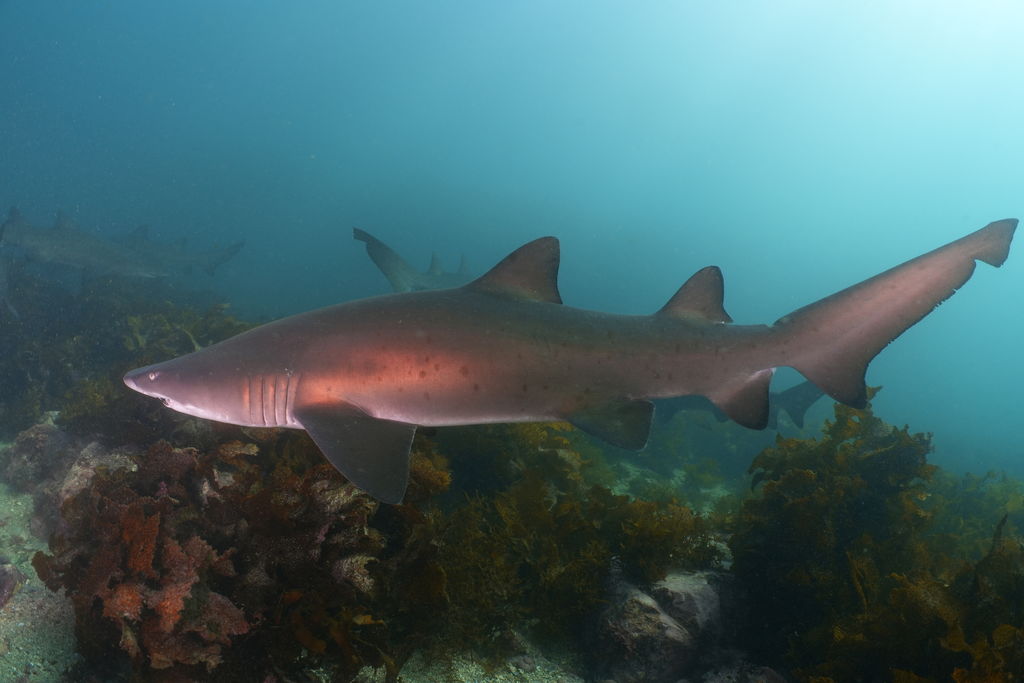 1bfccfbe-b46c-4ae7-a50b-4b15747b076c