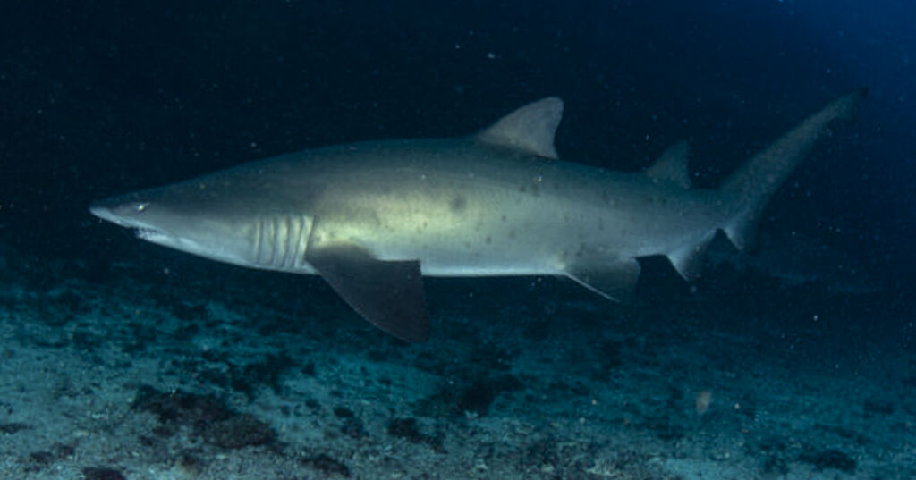 3dbe4add-252f-4d0f-8d44-9aef5e53ef69