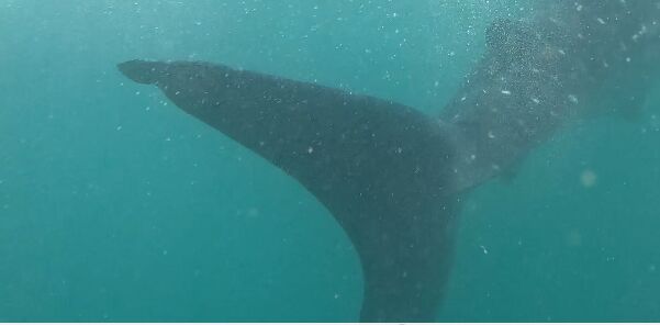 b3afd719-df44-40e2-94d0-94d669b7ffb0