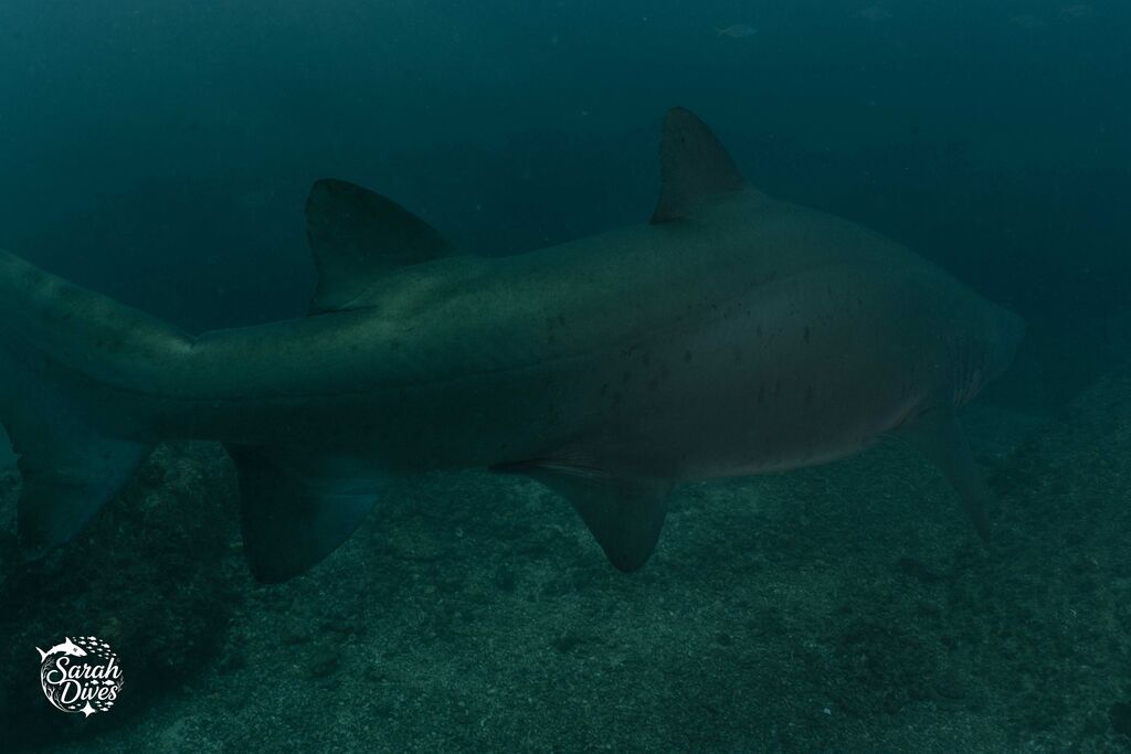 d42288ac-da0b-4c39-b28e-e9c3a0979e21