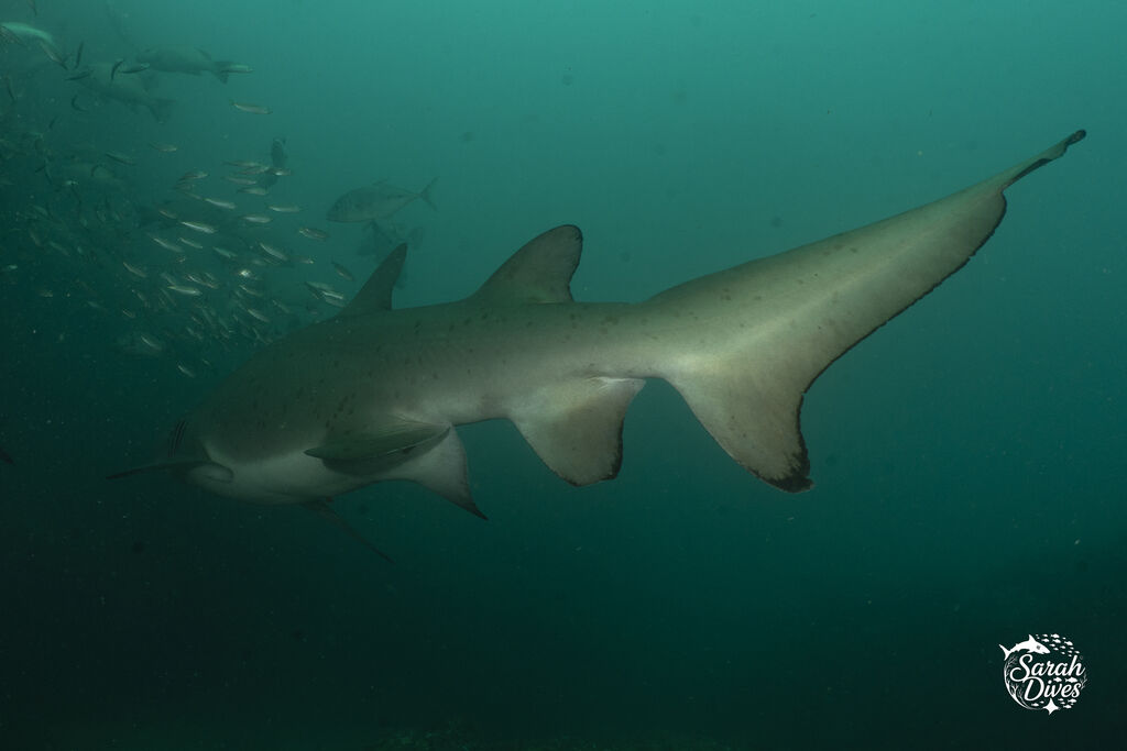 d4650413-3983-4b24-acce-fd445df38959