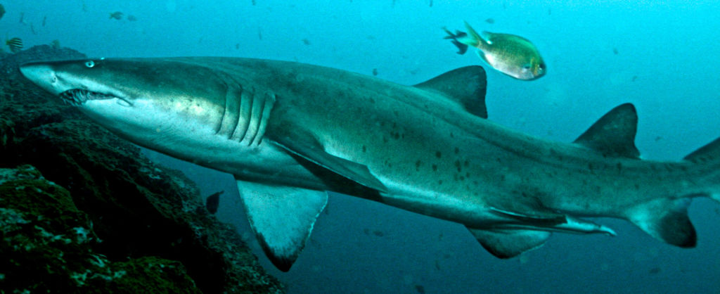 49252713-7dcf-4107-abac-5a3ffee22cf1