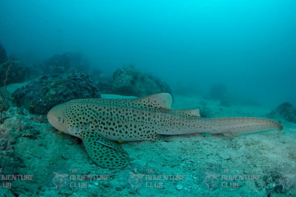 4f65b237-513e-402b-a58a-c40607f3e876