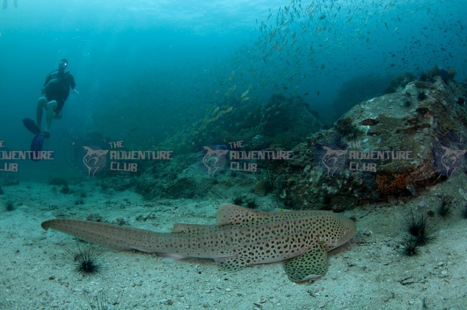 4f65b237-513e-402b-a58a-c40607f3e876