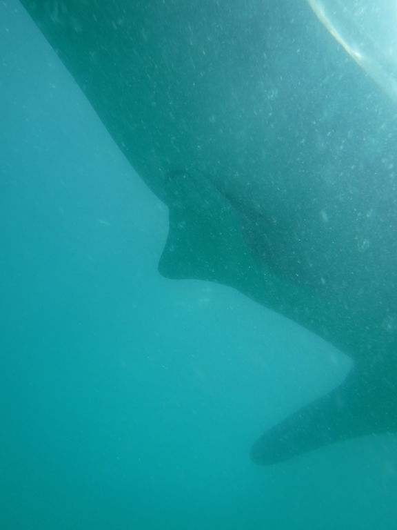 a2bef891-d2a7-4f02-bc28-1969f227ef96