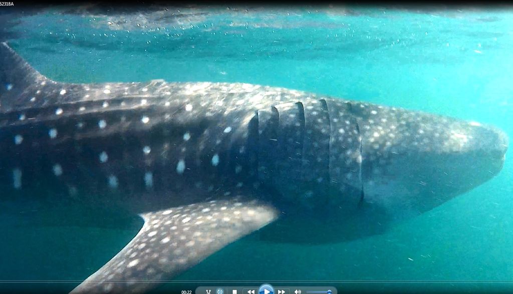 7d3769f0-a5a5-4faa-aa6d-d58df462f267