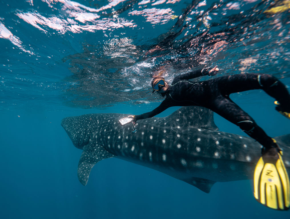 5f12f235-b701-4a87-b2e1-5df30b94dfb3