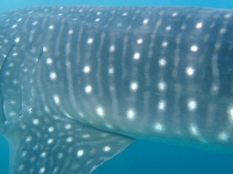 3bf44c3e-6f2c-4dde-93ac-9b43abbf970d