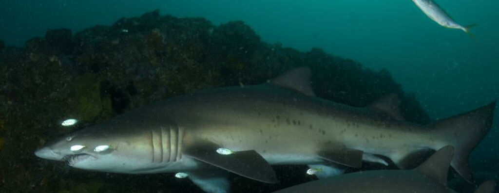 4d0e1848-ef57-44e5-965e-c2abf9e982e2