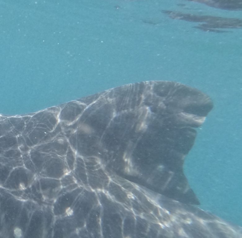 35db3291-0249-4c67-ac45-b8d8fef94223