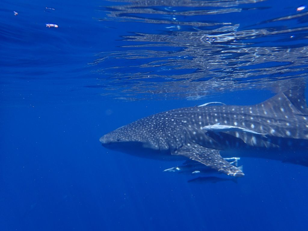 d3c8fcaf-9f49-40d8-87cc-d89b5ece73a6