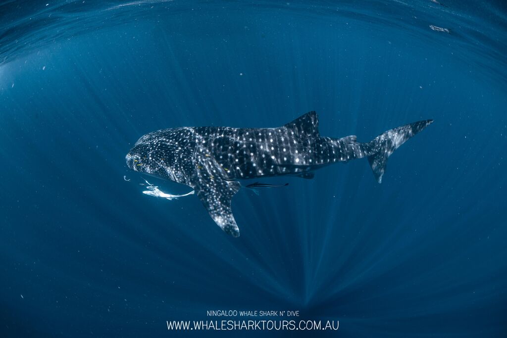 286abf0f-2244-46bf-be71-28f4c6098305