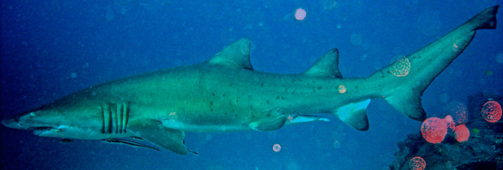 fb08d4b0-95bf-4f11-a96c-c66954e73039