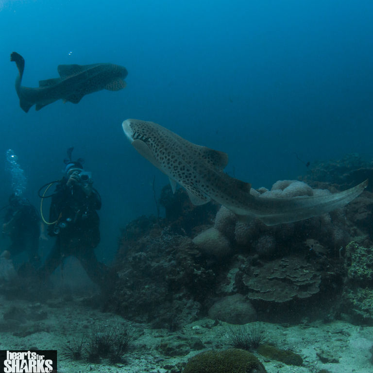 424da790-875b-4c5f-99b9-934edd17457a