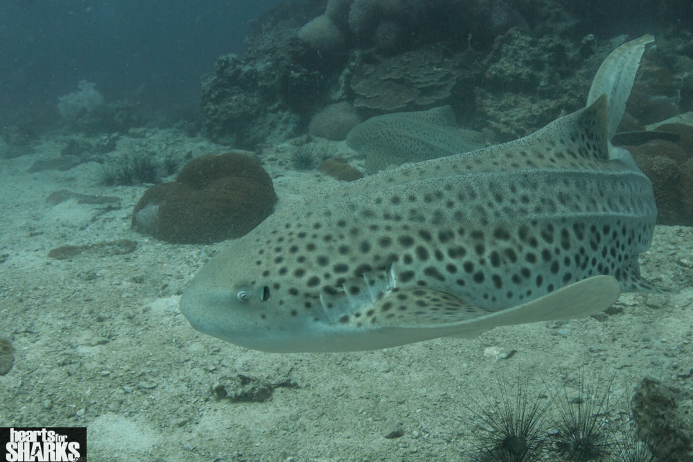 424da790-875b-4c5f-99b9-934edd17457a