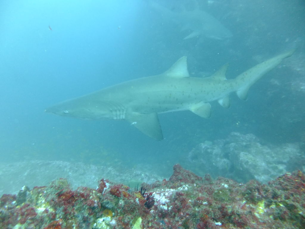 16c17852-a675-4a11-b520-39548c8a6843